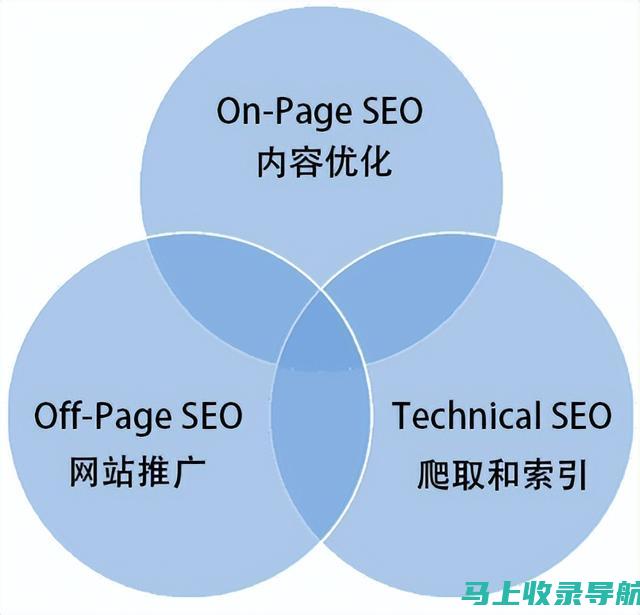 SEO新手教程：快速入门与提升网站排名的秘诀